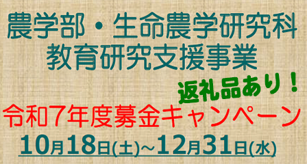 募金キャンペーン