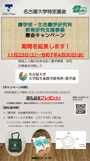 キャンペーンチラシ